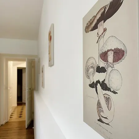 Appartement Le Saint-Pierre By La Boite En Plus Senlis  Exterior foto
