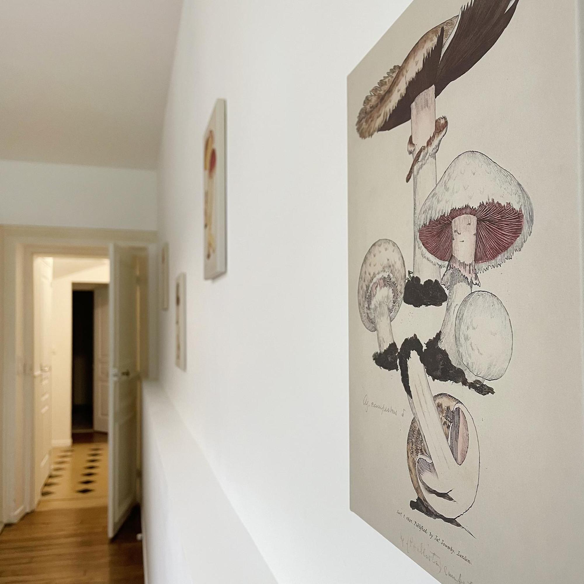 Le Saint-pierre By La Boite En